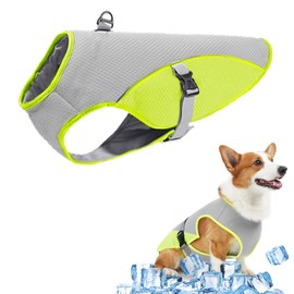 TYXHXTF Hundekühlweste, AKühlweste für Hunde, Hund Kühlweste Kühljacke Mit D-Ring Für Sommer Aktivitäten Draußen Wandern Training