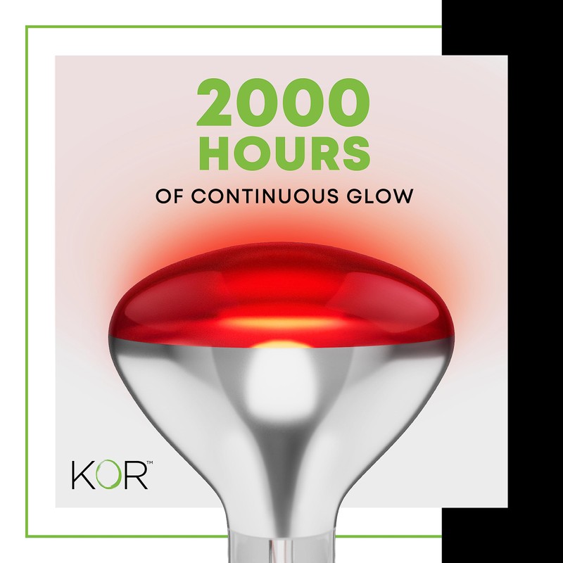 KOR 250W R40 Red Incandescent Heat Lamp Bulbs, E26 Medium
