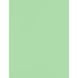 LUXPaper 8.5" x 11" Cardstock | Letter Size | Pastel Green | 65lb. Cover | 500 Qty