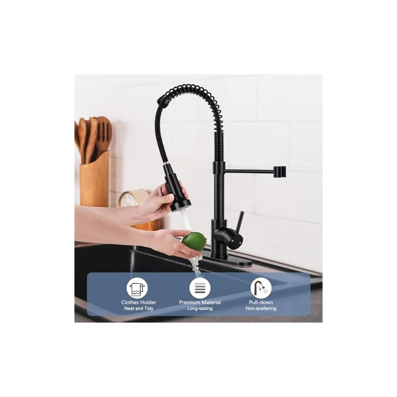 DJS Kitchen Faucets with Pull Down Sprayer Matte Black -