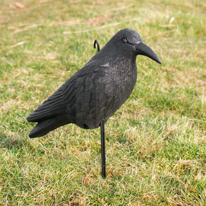 KCT Crow Decoy Full Bodied Realistic Hunting Prop and Bird