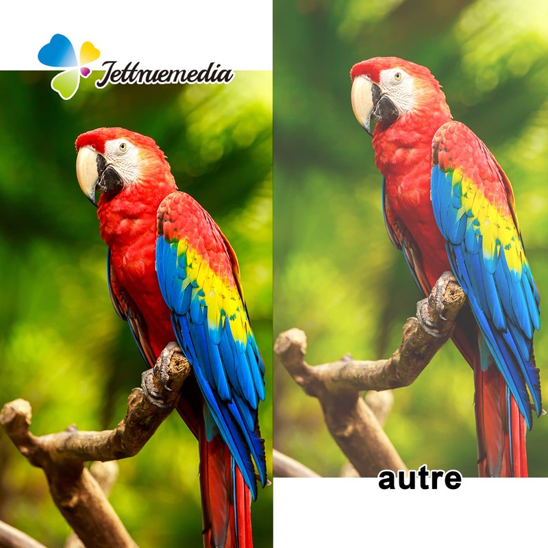 Jettruemedia 502XL Druckerpatronen