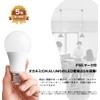 okalumi LED Bulb, E26 Base, Daylight (6000k), 100W Equivalent, 1710