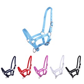 NETPROSHOP Foal Halter 3-Way Adjustable for Foals Falabella Shetty Pony Full, Size: Full Foal, Colour: Sky Blue