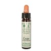 Ainsworths Original Dr. Bach Method Flower Essence Cerato 10ml