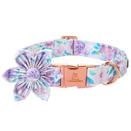 Lionheart Glory Dog Collar, Purple Dog Collar with Flower, Cute Floral Pattern Pet Collar Adjustable Dog Collar for Small Dogs