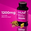 HUM Best of Berberine Supplement 1200mg, Pure Potency for Metabolic