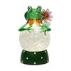 MOMENTS IN TIME Acrylic Frog Snow Globe LED Light-Up Water