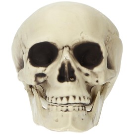 Folat 23916 Decorazione di HalloweenDecorazione - Teschio - Halloween - 14 x 17 x 19 cm