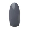 Pregel Gel Nail Color EX Elephant 822