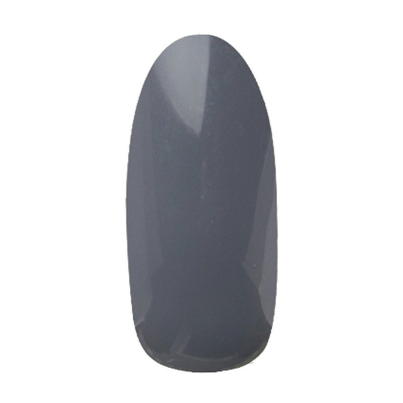 Pregel Gel Nail Color EX Elephant 822