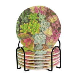 Bar Coaster for Drinks, Coil Woven Coasters Holder Pad 3.94 in Diameter for Mugs Thickness of 0.24 in with Metal Rack Print Colorful Miniature Succulent Plants