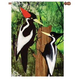 Premier Kites 52698 House Brilliance Flag, Ivory Woodpecker, 28 by 40-Inch