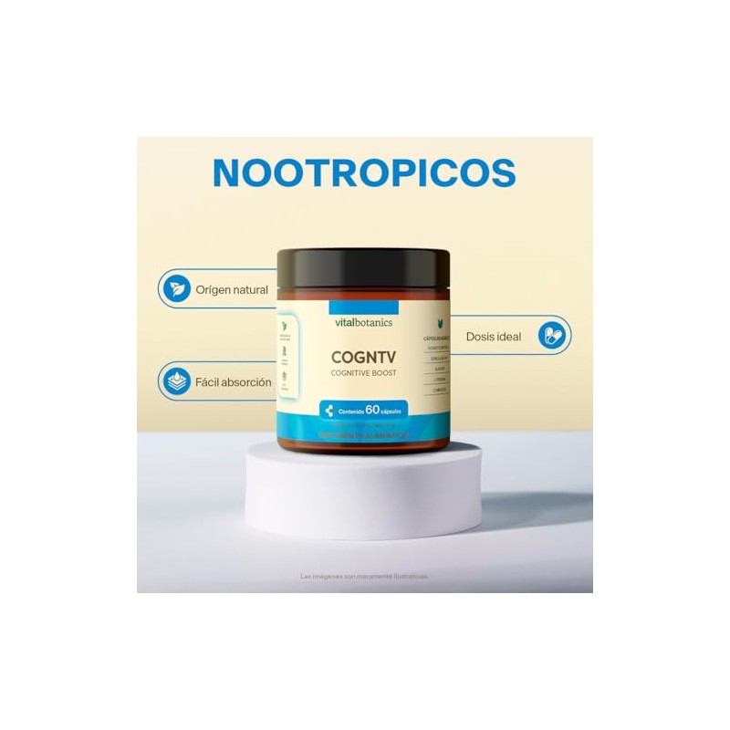Nootropico Vitaminas Teanina Tirosina Coenzima Hongo Cordyceps Capsulas 500mg Meses