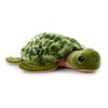 The Petting Zoo Sea Turtle Stuffed Animal, Gifts for Kids,