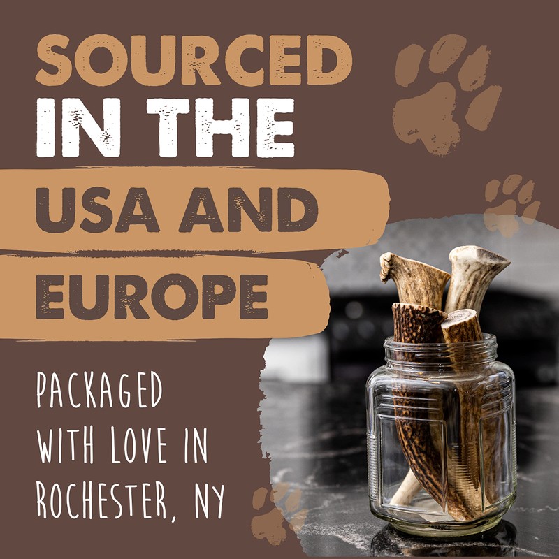 Mighty Paw Elk Antlers (1 Pack, Medium)