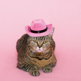 AWOCAN Pet Dog Costume Cowboy Hat Cosplay Cap Puppy Pet Dog Cat Holiday Pet Party Decoration (pink)