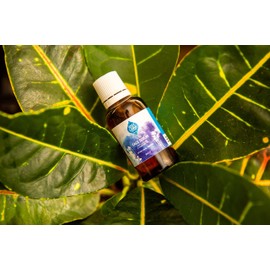 Holy Lama Naturals Ayurvedic Face Serum with Jojoba & Almond Essential Oils Luxurious Nourishing Vegan Beauty 30ml