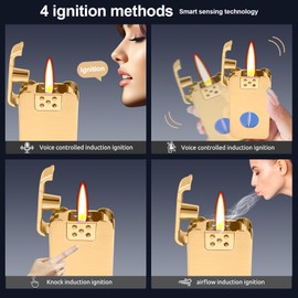 REIDEA Gold Kerosene Lighter with 4 Ignition Methods, Refillable, Visible Transparent Oil Level, USB Rechargeable, Cool Vintage Design - Ideal Gift for Men (Fuel Not Included)