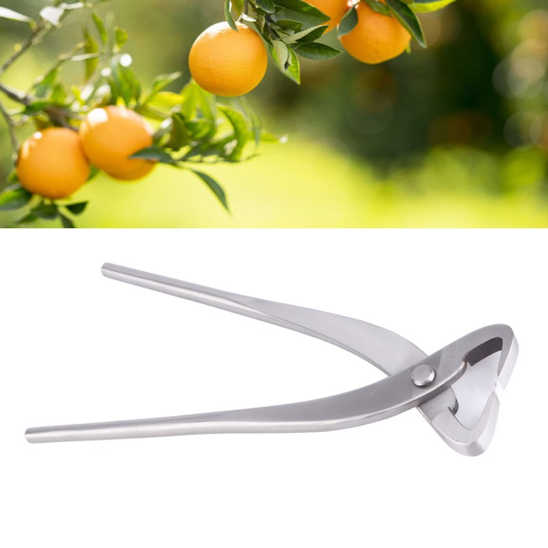 Trunk Splitter Silver Bonsai Modeling Tools Chrome Alloy 20cm Branch