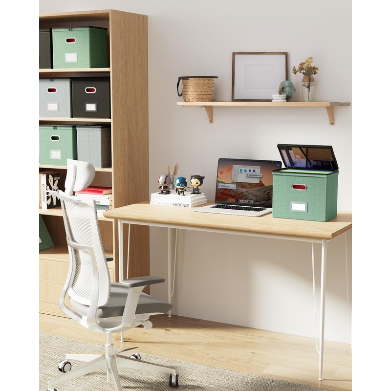 Oterri 2 Pack File Organizer Boxes with Lids, File Box