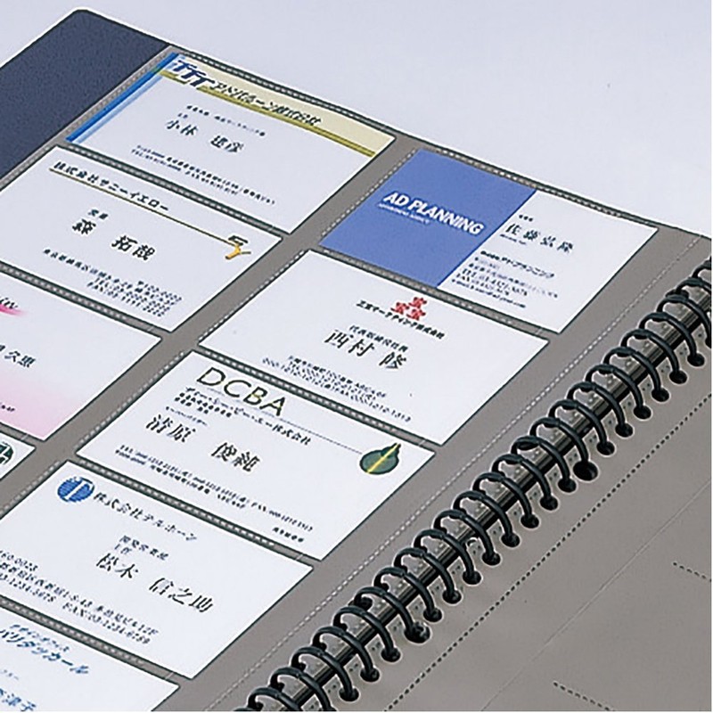 キングジム 名刺ホルダー 台紙 30穴 39D