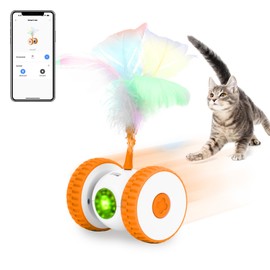 Cat Toys Cat Remote Control Toy, APP Bluetooth Connect Remote Control Cat Toys for Indoor Cats Electronic Automatic Moving Mouse Cat Toy with 6 Lights USB Rechargeable