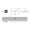 ANEX Screwdriver Hex Robe T7x50 with Hole No. 6300