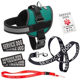Dogline Service Dog Vest Harness Bundle Service Dog Reflective Leash & Patches Service Dog in Training Set, ADA IDs for Travel Support Therapy Dogs Girth 22 to 30 in Teal