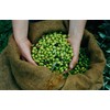Mani Organic Pitted Kalamata & Green Olives Al Naturale 175