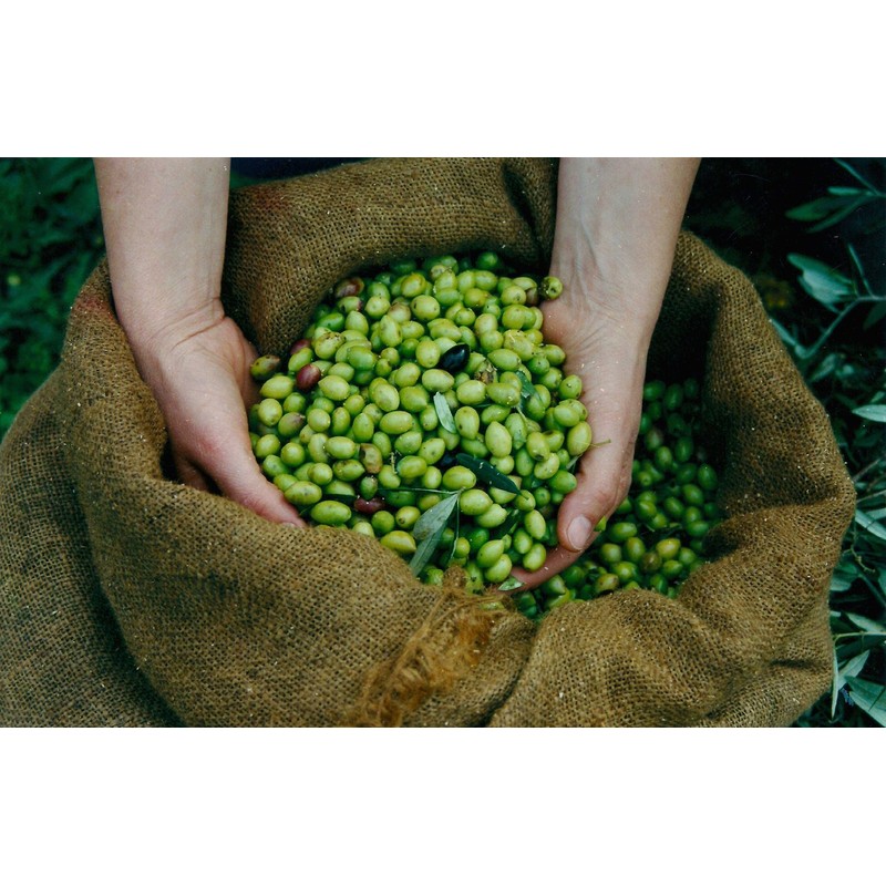 Mani Organic Pitted Kalamata & Green Olives Al Naturale 175