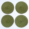 Round Braided Woven Polypropylene Plastic Coaster Set of 4 (Mossy