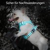 PoyPet No Pull Dog Harness, Reflective Dog Harness for Dogs