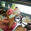 Ice Cream Scoop with Trigger - Stainless Steel Scooper for