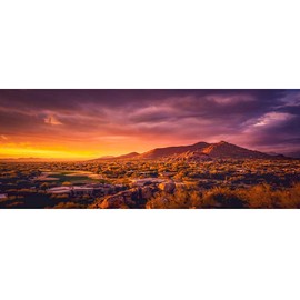 AWERT 36x18 inches Sun and Desert Terrarium Background Mountain Oasis Gobi Reptile Habitat Background Polyester Fish Tank Background