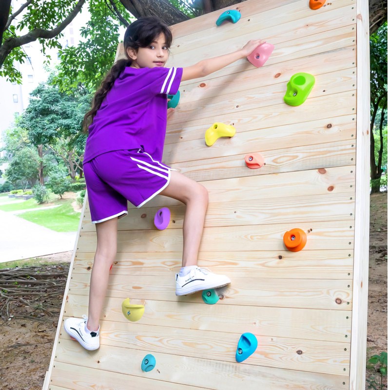 TOPNEW 32 Rock Climbing Holds Multi Size for Kids, Adult
