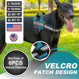 JUSTYEZI Essential Dog Harness with 3 Leash Clips - No-Pull, Adjustable, Comfortable Pet Vest Harness for Small to Large Dogs - Easy On, No Choke, Reflective, Padded Harness for Walking and Training