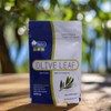 Olive Leaf Extract 400mg | Standardised to 20% Oleuropein |