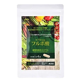 Life Balance Capsule in Fulvic Acid, 120 Tablets