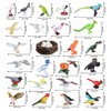 kukifun 30 Piece Bird Set, Realistic Bird Figures, Parrot, Owl,