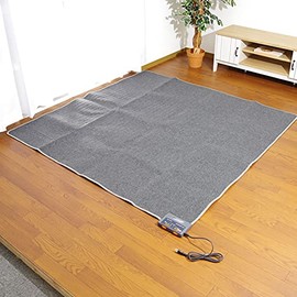 Antibacterial and deodorizing, washable rug carpet "D Flannel" Size: 36.2 x 72.8 inches (92 x 185 cm) (1 tatami mat size) Color: Brown cover, hot carpet cover compatible, Back: Dodd-type anti-slip
