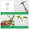 LOLYSIC 8PCS Wall Mounted Vase, Glass Wall Vase Propagation Wallmount
