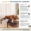 Elevated Dog Bed & Raised Pet Cot with Sturdy Frame