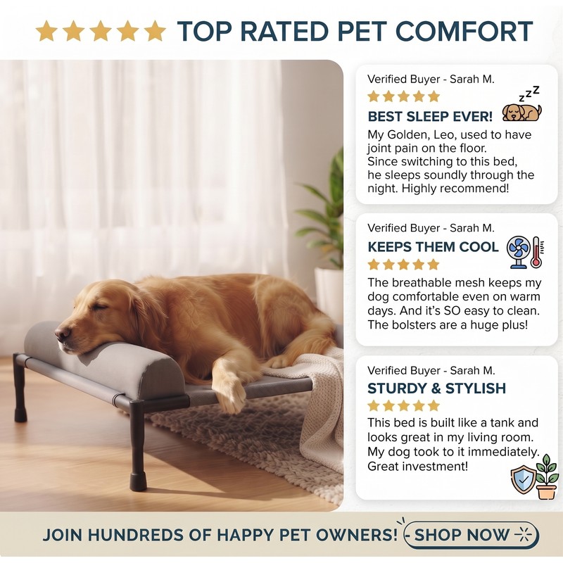 Elevated Dog Bed & Raised Pet Cot with Sturdy Frame