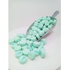 Green Spearmint Mints Canada Mints 1 pound Spearmint Lozengers