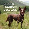 Petrodex Toothpaste for Dogs and Puppies, Cleans Teeth and Fights