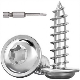 Dayalo Pack of 30 Tapping Screws Torx M3 x 10 mm, Tapping Screws Stainless Steel A2 V2A, Pan Head Screws Wood, Self-Tapping Screws with Washer, with Screwdriver Bit, Full Thread