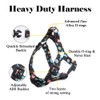 QQPETS Dog Harness Leash Set Adjustable Heavy Duty No Pull
