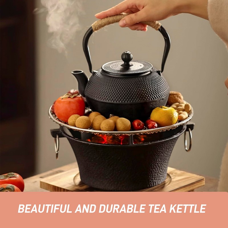 SECHUDO Japanese Tetsubin Cast Iron Teapot Tea Kettle pot with