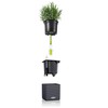 Lechuza Cube Colour 14 13384 Herb Pot, High-Quality Plastic, Includes